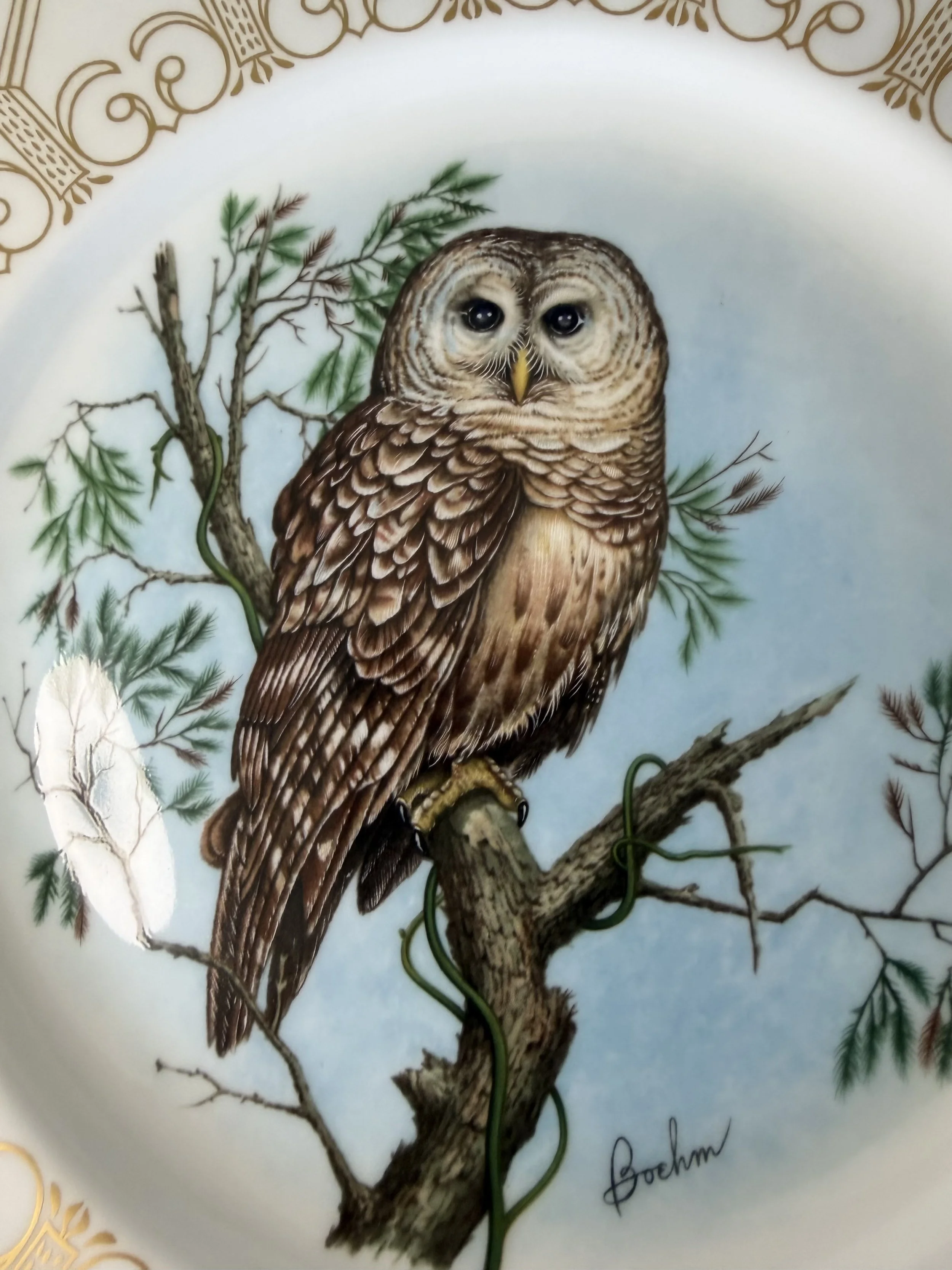 Elegant fine china sets | Lenox, Wedgwood, Spode and more — Fine